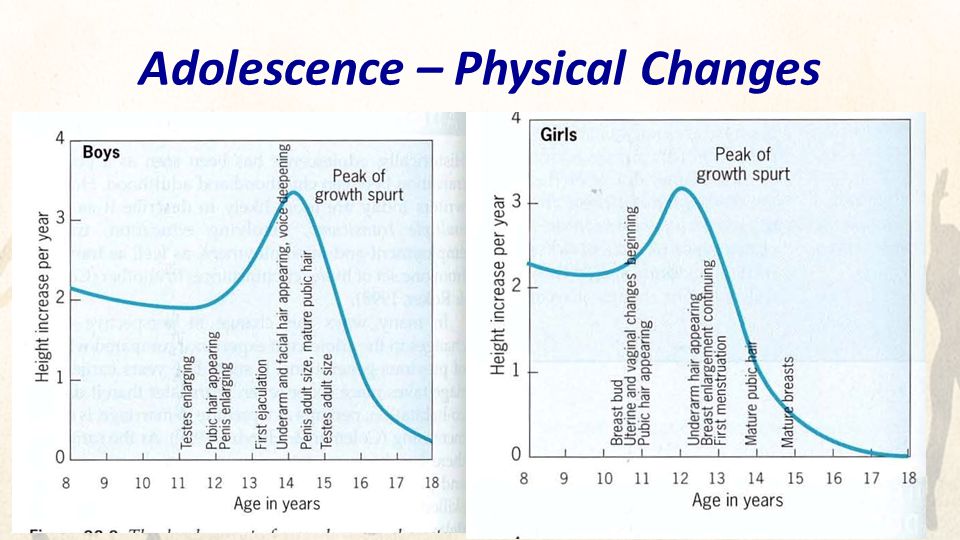 Physical developments in adolescence